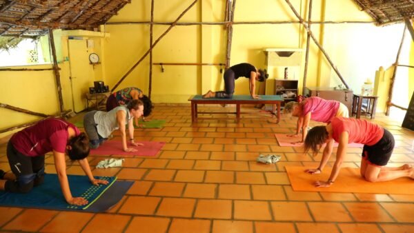 Well being pilates class for all at Sita cultural center